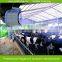 New strong power electric suspension water mist sprayer machine