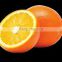 delicious taste Fresh Egyptian Orange...high quality navel orange