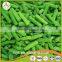 Vegetables New Season Frozen Whole and Cut Green Beans