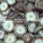 New crop mushrooms manufacturer Chinese iqf shiitake