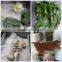 Industrial Plastic Bag Fresh World Food Vacuum Sealer