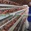 TAIYU Chicken Layer Houses for Sale in Kenya (Local agent, whole year stock, visit customers every year)