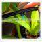 agricultural irrigation dripper with pc