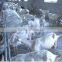 China Factory Hotsale for Shed Animal Chicken Poultry