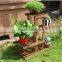 High quality Wood display flower rack