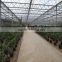 China Supplier Greenhouse for Export