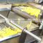 High quality potato chips and french fries production line