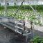 Glass Greenhouse-1