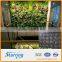 Vertical Greening wall/Pocket planter