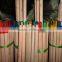 Natural wooden broom handle with plastic cap
