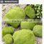Buy direct from China manufacturer roof gardening moss stone