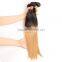 Beautiful 1b/27 straight 6a virgin hair alixpress malaysian hair