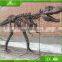 KAWAH Fiberglass Aniaml Replica Skull Popular Resin Life-size Skeleton Dinosaur Model For Sale