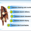 Photo sweet photo cassava starch processing plant supply price