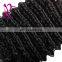 brazilian virgin human hair bulk extension wet and wavy virgin brazilian hair bundles remy hair bulk weft