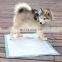 Pet store products wholesale pet cleaning daily necessities cat pet toilet mat puppy dog pee training pads
