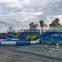 Outdoor Blow Up Aqua Park Lotus Flower Frog Theme Slide Inflatable Water Amusement Park with 3 Pools