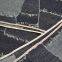 12.5oz 100% Cotton Straight Slubby Jacquard Japanese Selvedge Denim Fabric 32/33 