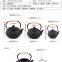 Japanese Tetsubin Cast Iron Teapots Kettle Handmade Uncoated Teapot Health Teapot for Gifts