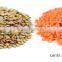 Broad bean / mung bean / lentil / dal bean dehulling machine