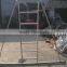 extension ladder