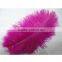 Party decoration Real Natural ostrich plumes , decorative feathers for garland