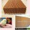 Increasing popular cheap durable chicken ventilation system