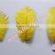 Wholesale Feather Natural Craft Yellow Ostrich Feather Bulk For Wedding Decorations