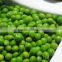 canned pickled vegetalbes-green peas
