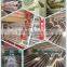 Easy install and operation automatic egg chicken cage system for 96 to 240birds