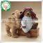 Custom Design teddy bear with camel Plush toy for kids