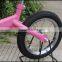 No pedal German export high quality aluminum balance bike for kids