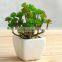 Potted green bonsai tree mini table artificial plant