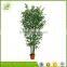 customized low price enviroment friendly bamboo bonsai tree