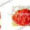 50-100kg/hour High Quality Ketchup Colloid Mill Grinder