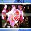 advertising p4 full color led display screen