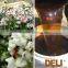 Chinese natural buckwheat bee honey in bulk (OEM welcom)