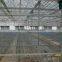 network type kyws 9.6m glass greenhouse