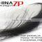 CHINAZP New Arrival Plumage Cheap Dyed Silver Grey Peacock Sword Feathers for Sale