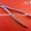 Dental Extracting Forceps | Extraction Forceps Set