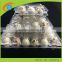 plastic quail egg plate for packaging ,20 quail egg cartons for sale