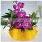 2014 New product-fabric plant pot ,cheap flower pots,plant fibre flower pots