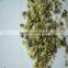 hemp seeds without shell powder hemp