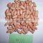 2015 New Peanut Kernel with whole price