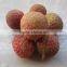 2015 Fresh The King of Litchi(LanZhu)