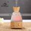 aroma bloom diffuser with light bulb diffuser