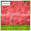 factory manufacturer IQF frozen Strawberry