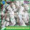 Export garlic,garlic price in china