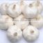 Four Seasons Supplier Wholesale of Fresh Garlic 2016'