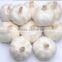 Supply 2016 crop farmer wholesale garlic in China